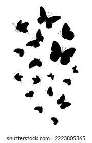 Flock of silhouette black butterflies on white background. Vector