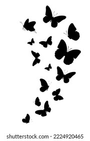 Flock of silhouette black butterflies on white background. Vector