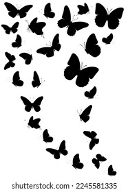 Flock of silhouette black butterflies on white background. Vector