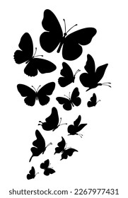 Flock of silhouette black butterflies on white background. Vector