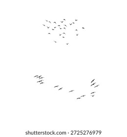 Rebanho de andorinhas em voo, silhuetas de aves sobre fundo branco. Cena de natureza minimalista e pacífica ideal para conceitos de liberdade, migração e vida selvagem."