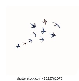 A flock of swallows glides through the sky, their silhouettes dancing against the blue. At Wild Birds Unlimited, we provide everything you need for a thriving birdwatching experience: high-quality bir