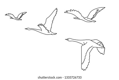 A flock of swans are flying on a white background. Vector illustration.