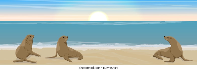 A flock of three fur seals on the sandy coast of the sea or ocean. Seascape. Vector landscape. Wild nature