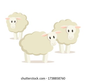 Flock of three sheep. Colorful flat vector illustration, isolated on white background.