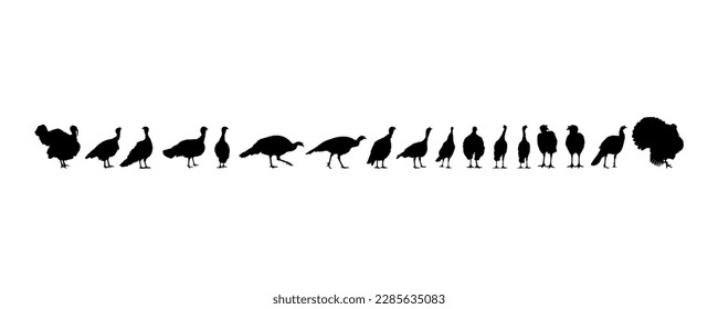 Flock of the Turkey Silhouette for Art Illustration, Pictogram or Graphic Design Element. The Turkey is a large bird in the genus Meleagris. Vector Illustration