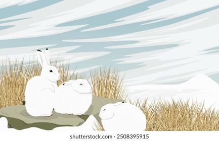 A flock of white polar hares sits near large stones and dry grass. Wild animal of the Arctic tundra in winter. Realistic vector landscape