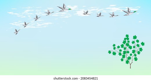 Flock of wild ducks - spring landscape - illustration, vector. Horizontal banner.