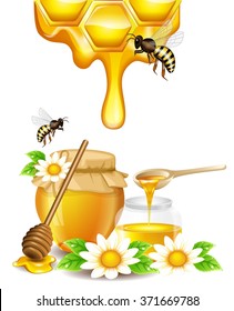 Flocked honey with honeycomb, dripping, old bank beautiful daisy. Colorful template for design. Isolated vector illustration