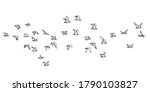 Flocks of flying birds isolated, Abstract line drawing on white background. Vector geometric sketch illustration