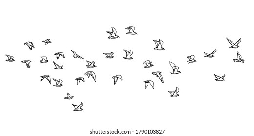 Flocks flying birds isolated  Abstract line drawing white background  Vector geometric sketch illustration