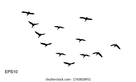 flocks of flying birds.silhouette style.vector illustration