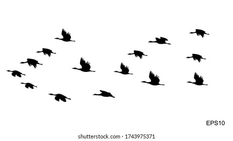 flocks of flying birds.silhouette style.vector illustration