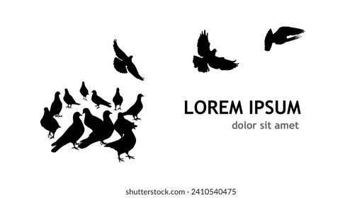 Flocks of flying pigeons isolated on white background. Pigeons are standing on the ground. hand drawing. Not AI, Vector illustration