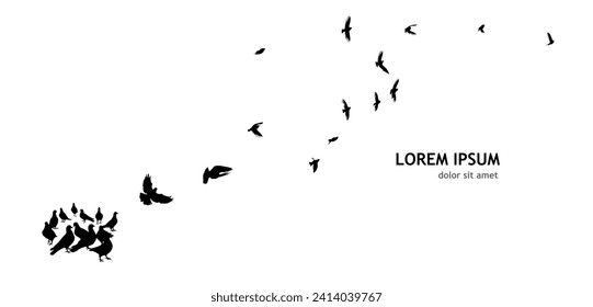 Flocks of flying pigeons isolated on white background. Pigeons are standing on the ground. hand drawing. Not AI, Vector illustration