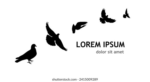 Flocks of flying pigeons isolated on white background. Pigeons are standing on the ground. hand drawing. Not AI, Vector illustration
