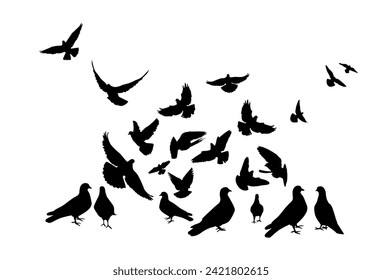 Manadas de palomas voladoras aisladas sobre fondo blanco. Las palomas están paradas en el suelo. dibujo a mano. No IA, ilustración vectorial