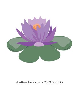 flor de loto or lotus in purple color surrounded with wide green leaves illustration