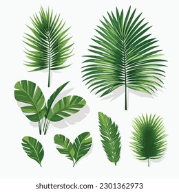 Flora Branch seamless hawaii pattern plant tree leaf jungle vector set