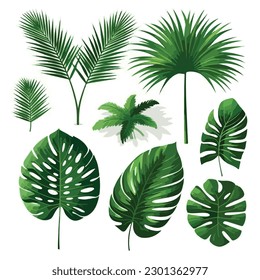 Rama de Flora sin fisuras hawaiano patrón planta leaf jungla vectores de selva