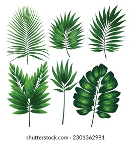 Rama de Flora sin fisuras hawaiano patrón planta leaf jungla vectores de selva