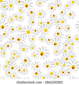 Fondo de diseño de Daisy Flora con iluminación de vectores de marco EPS10