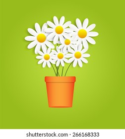 Flora Daisyl Design Vector Illustartion EPS10