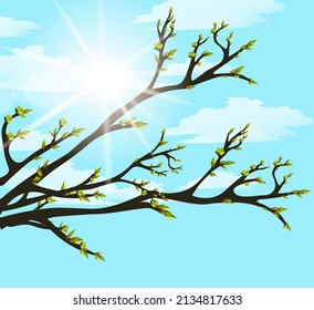 flora ecología primavera limpios árboles de aire ramifica arbustos con nubes de brotes paisaje