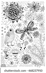 Flora and fauna doodles. Set of hand drawn flowers, leaves, bird and dragonfly. Elements for design.