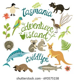 The flora and fauna of Tasmania. Animals, birds, fish, plants (koala, lyrebird, Tasmanian devil,  marlin, eucalyptus, penguin)  and lettering. For card, poster, tag,  sticker kit. Vector illustration.