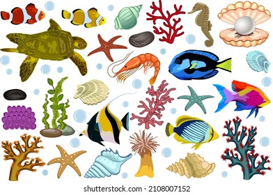 Flora and fauna of the underwater world.Colored vector set with flora and fauna of the underwater world on a transparent background.