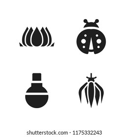 flora icon. 4 flora vector icons set. lotus flower, ladybug and ylang ylang icons for web and design about flora theme