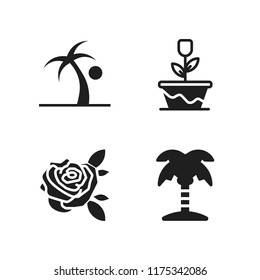 flora icon. 4 flora vector icons set. rose and palm tree icons for web and design about flora theme
