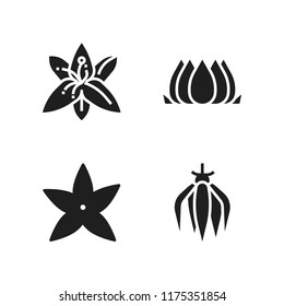 flora icon. 4 flora vector icons set. lotus flower, ylang ylang and jasmine icons for web and design about flora theme