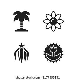 flora icon. 4 flora vector icons set. ylang ylang, daisy and macro icons for web and design about flora theme