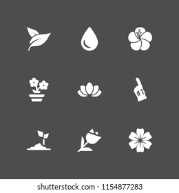 flora icon. 9 flora set with leaf, bud, number and flower vector icons for web and mobile app