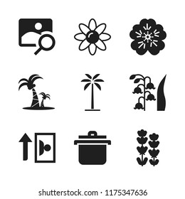 flora icon. 9 flora vector icons set. daisy, pot and lily icons for web and design about flora theme