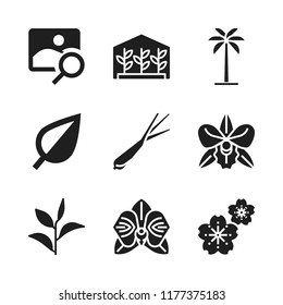 flora icon. 9 flora vector icons set. greenhouse, sakura and image icons for web and design about flora theme