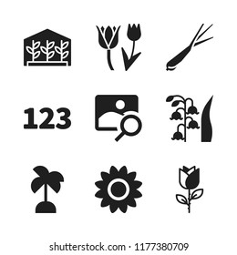 flora icon. 9 flora vector icons set. rose, sunflower and palm tree icons for web and design about flora theme