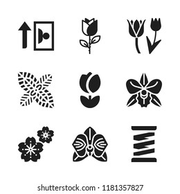 flora icon. 9 flora vector icons set. image, spring and sakura icons for web and design about flora theme
