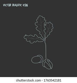 Flora icon line element. Vector illustration of flora icon line isolated on clean background for your web mobile app logo design.