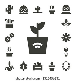 flora icon set. 17 filled flora icons.  Simple modern icons about  - Cactus, Flowers, Plant, Leaf, Flower, Tulip, Bulrush, Flowerpot, Rose, Plants