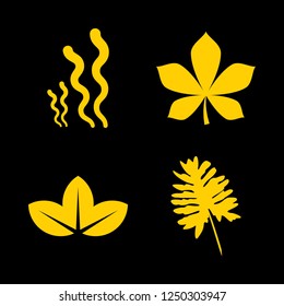 flora icon set about petal, leaves and seaweed vector set