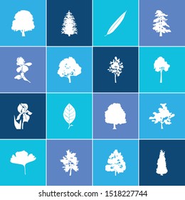 Flora icon set and clover flower with blackthorn tree, willow and maple tree. Wood related flora icon vector for web UI logo design