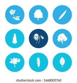 Flora Icon Set und Dekoration mit sequoia Blatt, Buttercup und Linden. Vektorillustration für das Logo der Web-UI- mit Blumenbezug.
