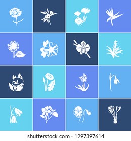 Flora icon set and guzmania flower with petunia, crocus, dandelion. Crocus related flora icon vector for web UI logo design.