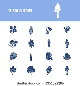 Flora icon set and hyacinth with maple tree, chestnut leaf and bluebell. Poplar tree related flora icon vector for web UI logo design.