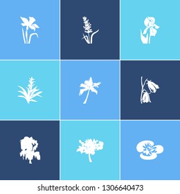 Flora icon set and iris with bluebell, guzmania flower and lavender. Freesia related flora icon vector for web UI logo design.