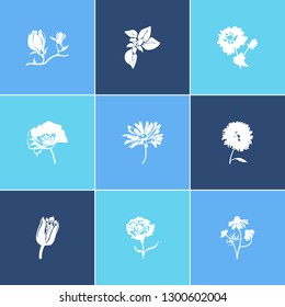 Flora icon set and magnolia with dahlia, carnation and tulip. Clove related flora icon vector for web UI logo design.