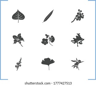 Flora icon set and nasturtium with gladiolus, garden and courgette. Jasmine related flora icon vector for web UI logo design.